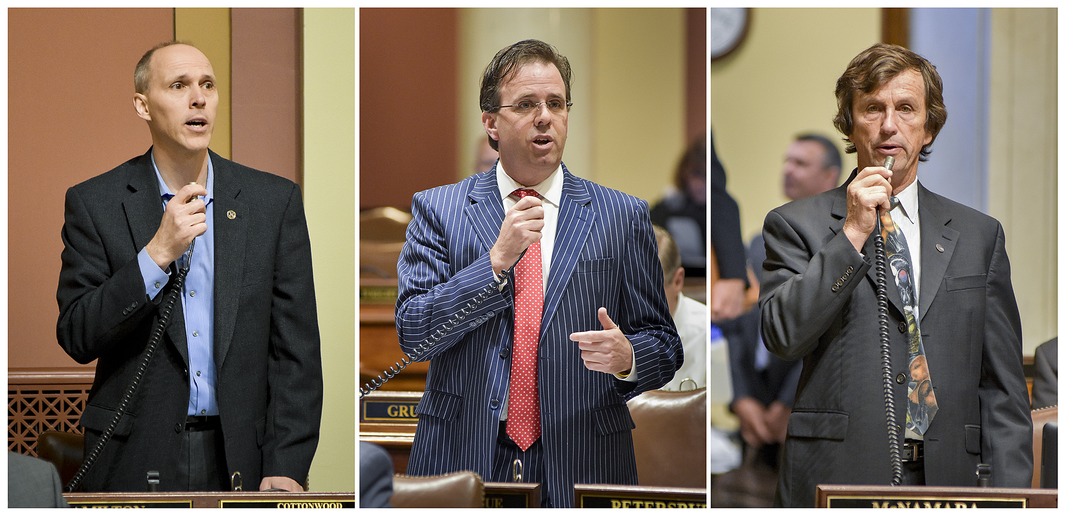 From left, Rep. Rod Hamilton, Rep. Pat Garofalo and Rep. Denny McNamara introduce portions of HF3931 on the House Floor April 27. Photo by Andrew VonBank